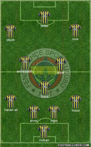 Fenerbahçe SK Formation 2013