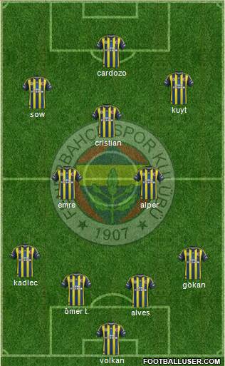 Fenerbahçe SK Formation 2013