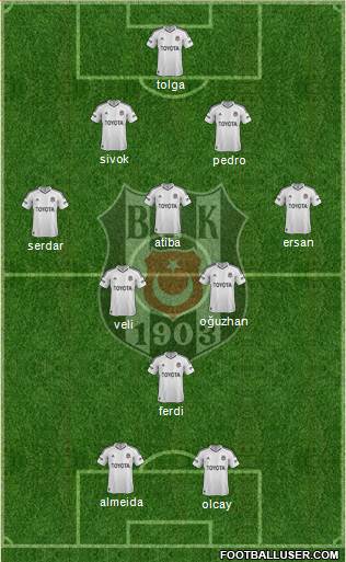 Besiktas JK Formation 2013