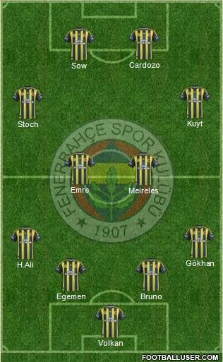 Fenerbahçe SK Formation 2013