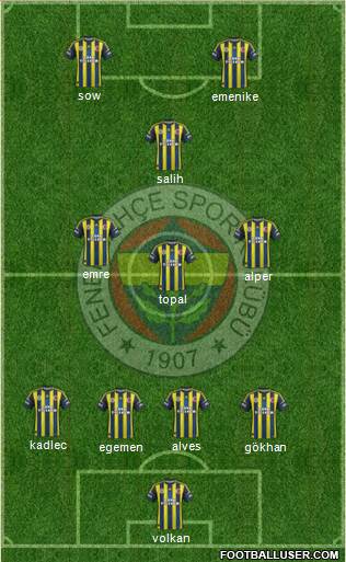 Fenerbahçe SK Formation 2013