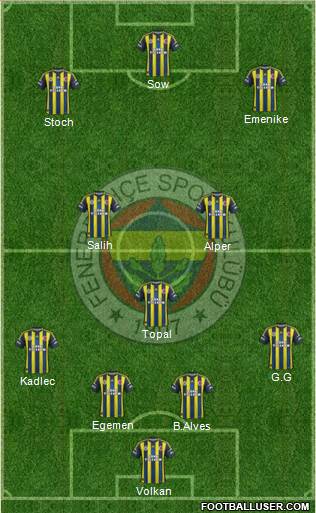 Fenerbahçe SK Formation 2013