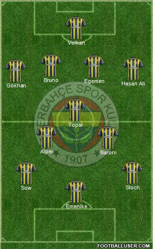 Fenerbahçe SK Formation 2013