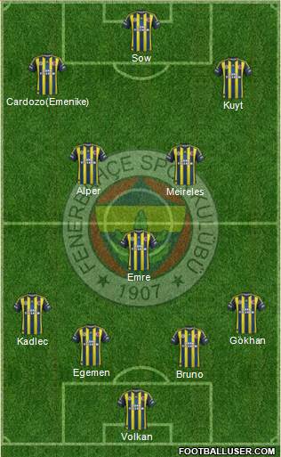 Fenerbahçe SK Formation 2013
