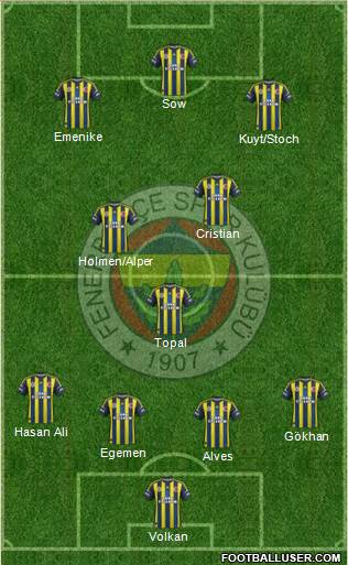 Fenerbahçe SK Formation 2013