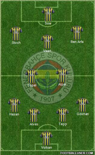 Fenerbahçe SK Formation 2013