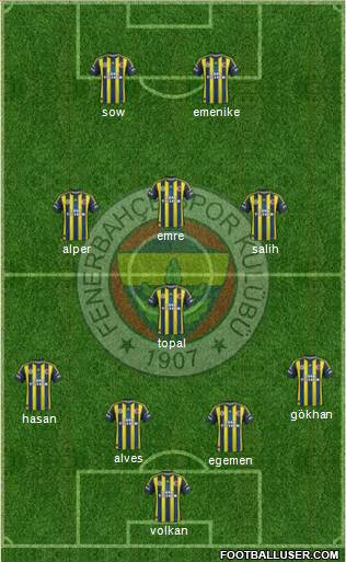 Fenerbahçe SK Formation 2013