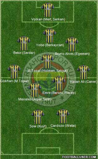 Fenerbahçe SK Formation 2013