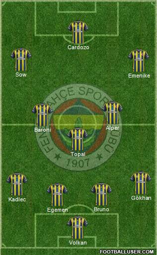 Fenerbahçe SK Formation 2013