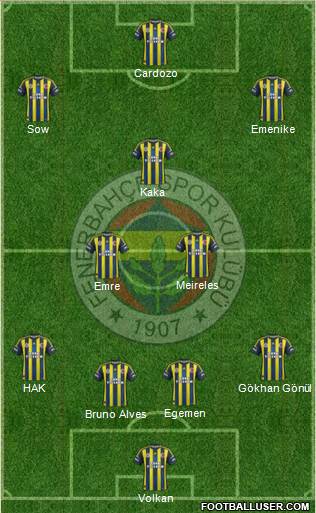 Fenerbahçe SK Formation 2013