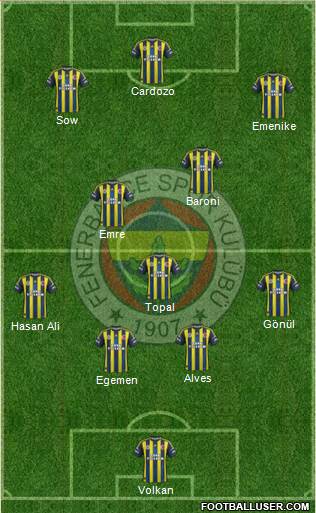 Fenerbahçe SK Formation 2013