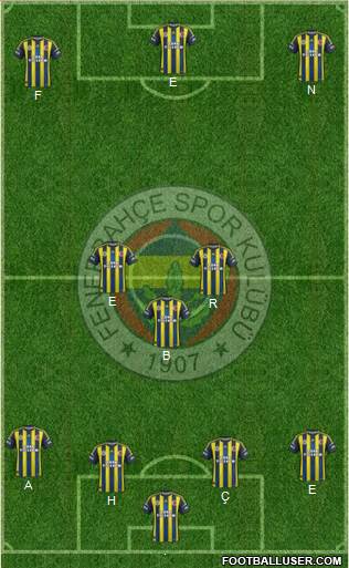 Fenerbahçe SK Formation 2013