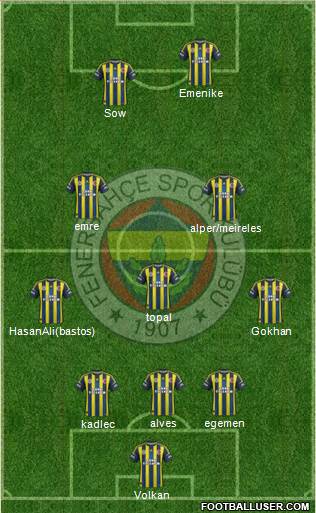 Fenerbahçe SK Formation 2013