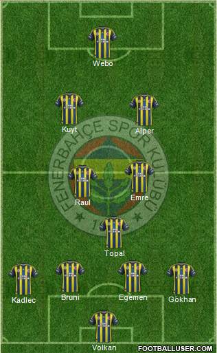 Fenerbahçe SK Formation 2013