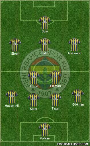 Fenerbahçe SK Formation 2013