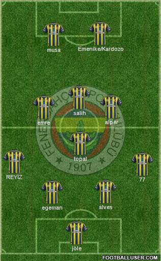 Fenerbahçe SK Formation 2013