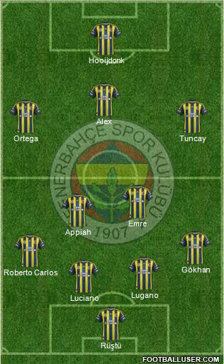 Fenerbahçe SK Formation 2013