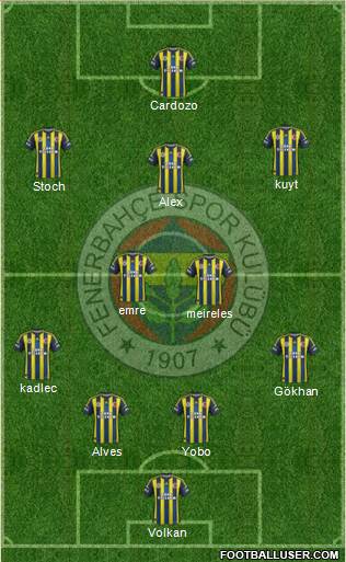 Fenerbahçe SK Formation 2013