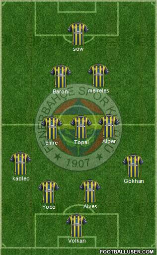 Fenerbahçe SK Formation 2013