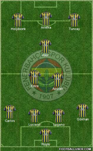 Fenerbahçe SK Formation 2013