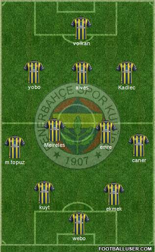 Fenerbahçe SK Formation 2013