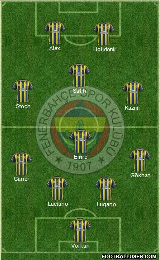 Fenerbahçe SK Formation 2013
