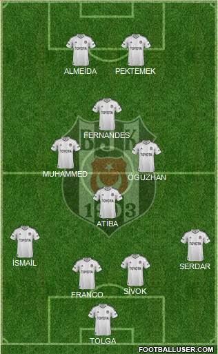 Besiktas JK Formation 2013