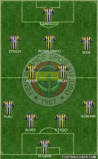 Fenerbahçe SK Formation 2013