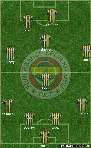 Fenerbahçe SK Formation 2013