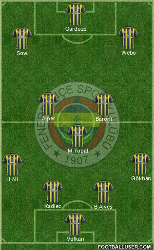 Fenerbahçe SK Formation 2013