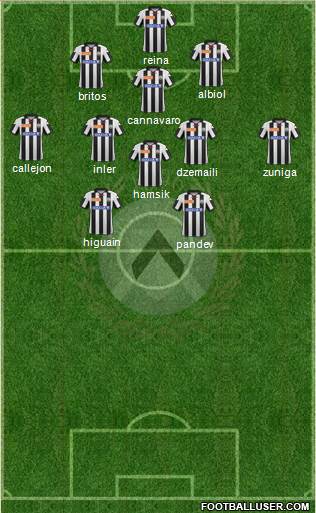 Udinese Formation 2013
