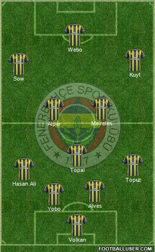 Fenerbahçe SK Formation 2013