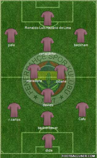 Fenerbahçe SK Formation 2013