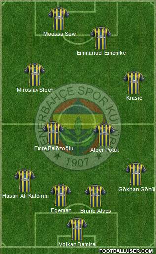 Fenerbahçe SK Formation 2013