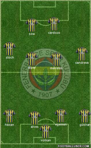 Fenerbahçe SK Formation 2013