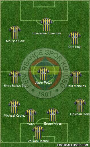 Fenerbahçe SK Formation 2013