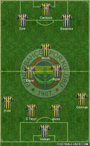 Fenerbahçe SK Formation 2013