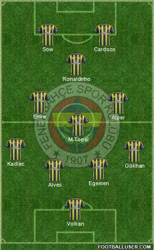 Fenerbahçe SK Formation 2013