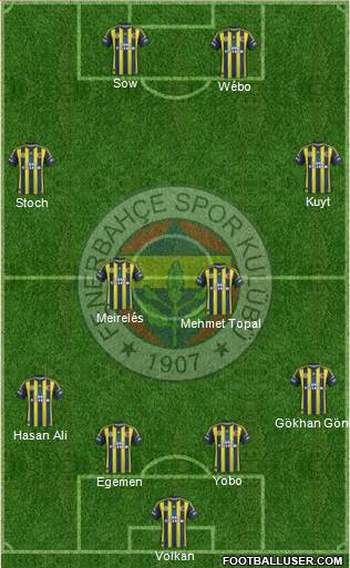 Fenerbahçe SK Formation 2013