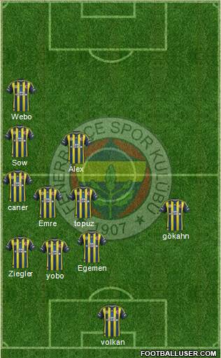 Fenerbahçe SK Formation 2013