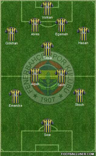 Fenerbahçe SK Formation 2013