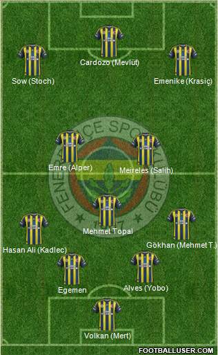 Fenerbahçe SK Formation 2013