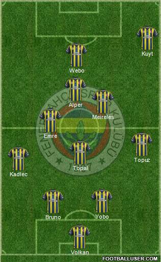 Fenerbahçe SK Formation 2013