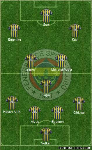 Fenerbahçe SK Formation 2013