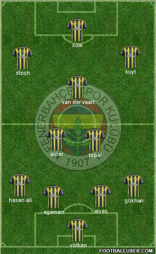 Fenerbahçe SK Formation 2013