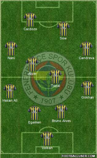 Fenerbahçe SK Formation 2013