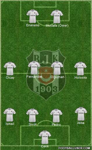 Besiktas JK Formation 2013