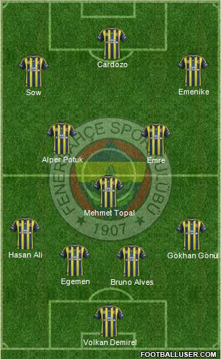 Fenerbahçe SK Formation 2013