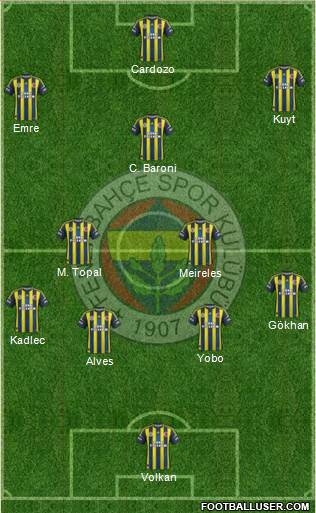 Fenerbahçe SK Formation 2013