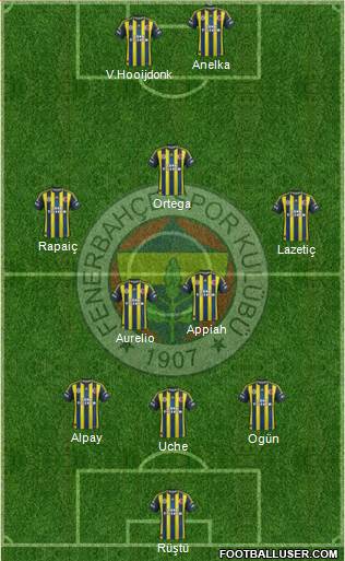 Fenerbahçe SK Formation 2013